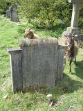 image of grave number 338358